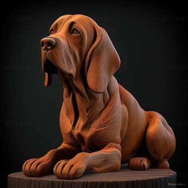 3D model Bavarian Mountain Hound dog (STL)