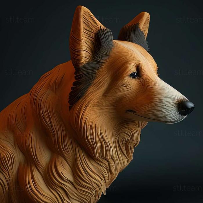 3D модель Короткошерста собака коллі (STL)