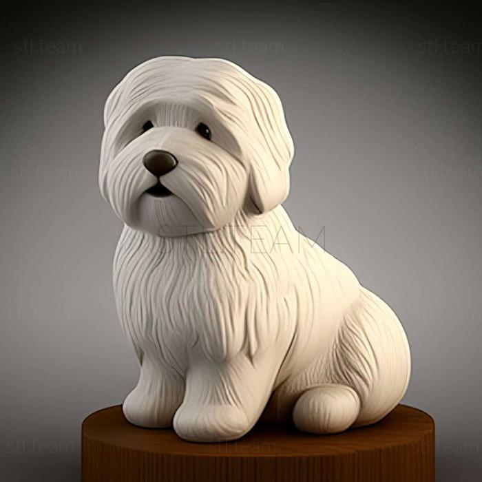 3D model Coton de tulear dog (STL)