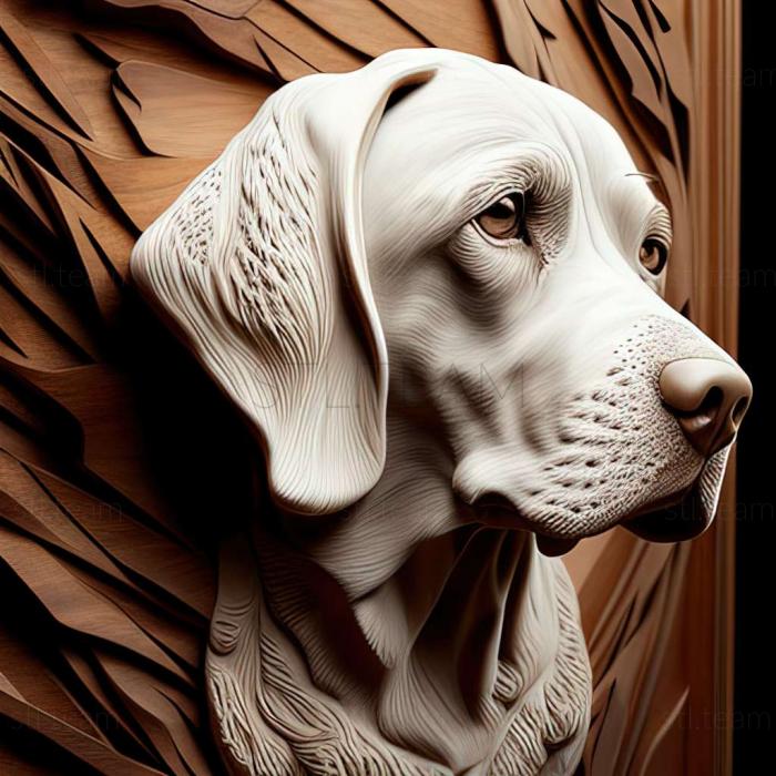 3D model English Pointer dog (STL)