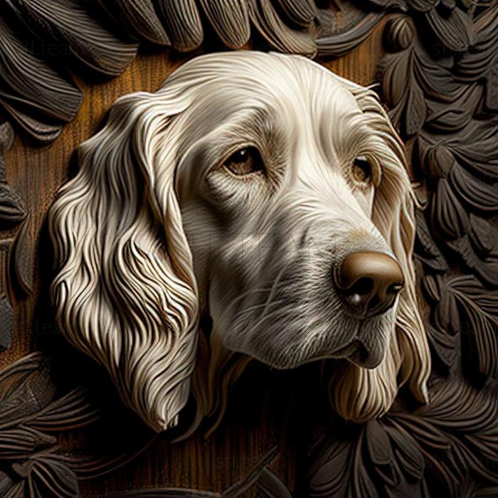 English Setter dog