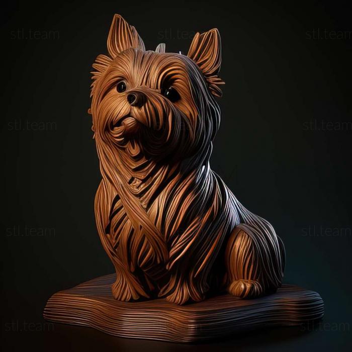 Beaver is a Yorkshire terrier dog