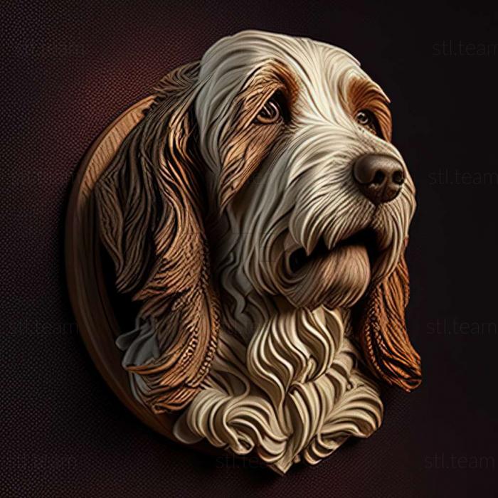 3D model The Great Vendean Basset Griffon dog (STL)