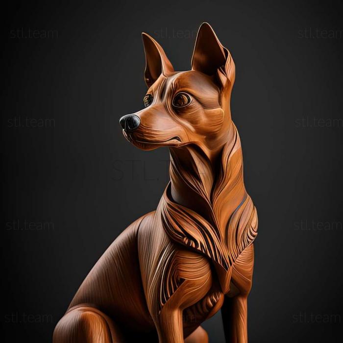 Animals Austrian Pinscher dog