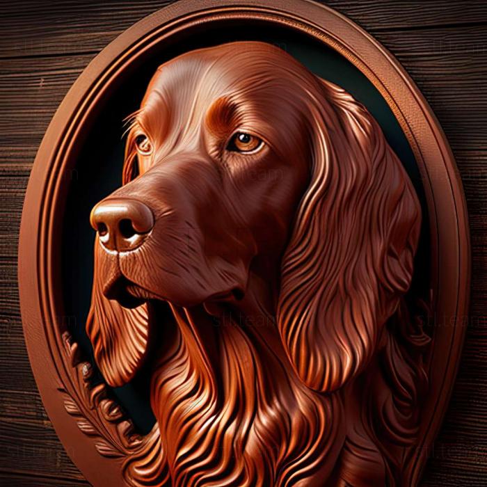 Irish Red Setter dog