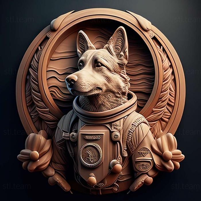 Animals Asterisk cosmonaut dog famous animal