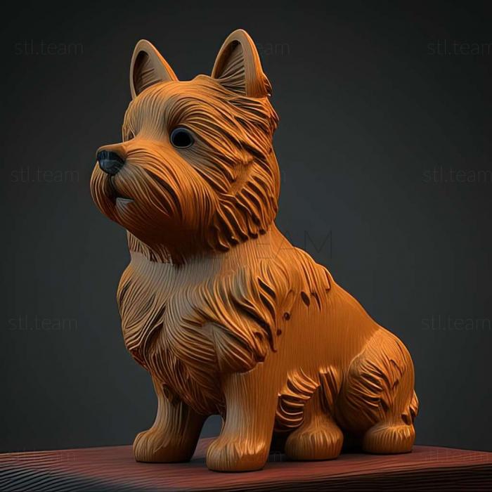 3D model Norwich Terrier dog (STL)