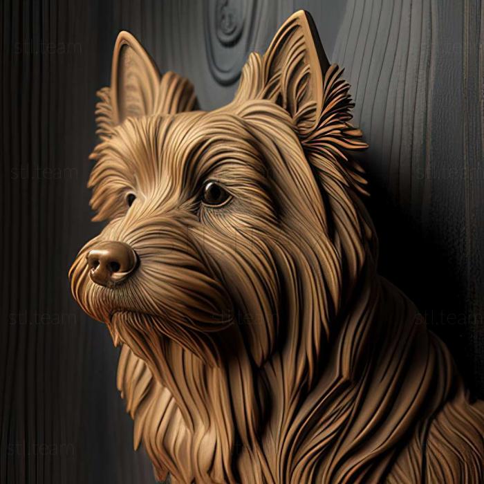 3D model Australian Silky Terrier dog (STL)