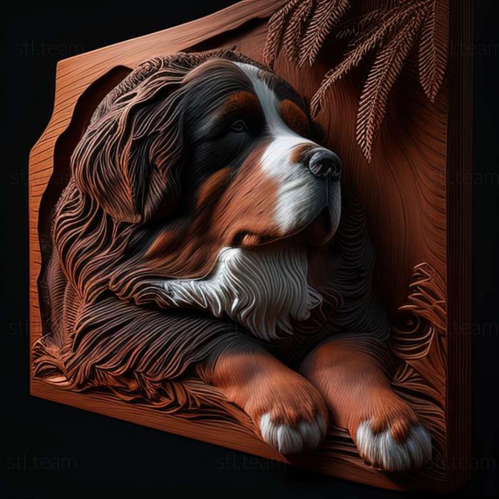 3D model Bernese Mountain dog (STL)