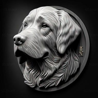 3D model Miss Beazley dog famous animal (STL)