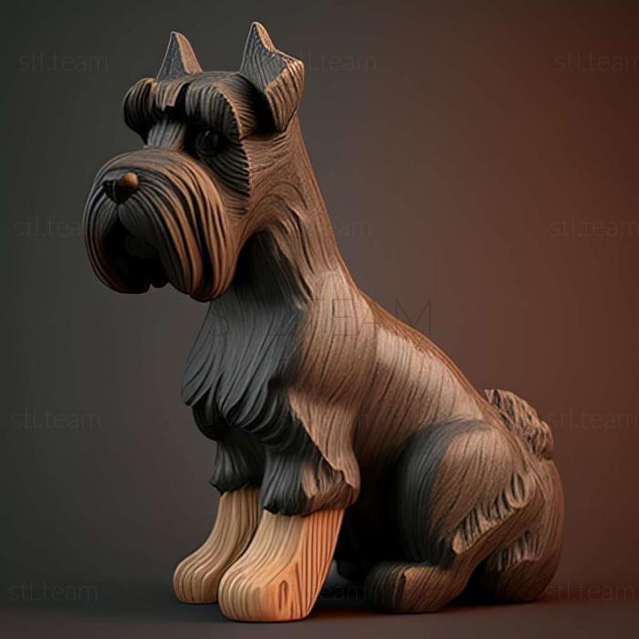 Zwergschnauzer dog