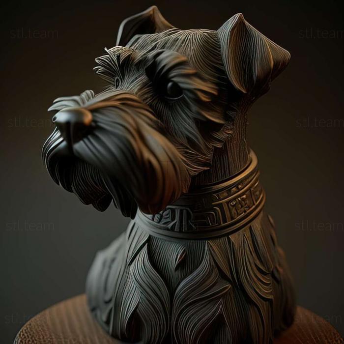 Zwergschnauzer dog