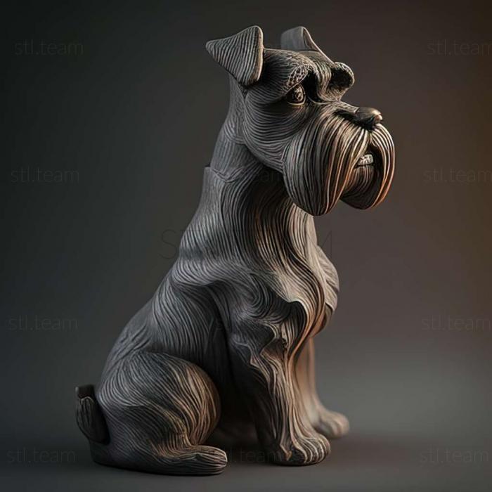 Zwergschnauzer dog