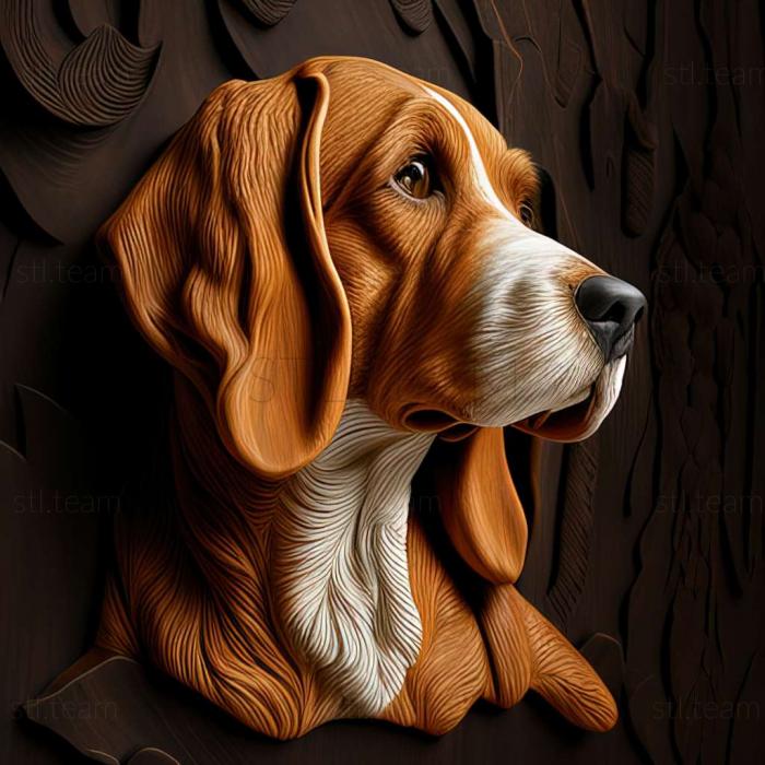 English Foxhound dog