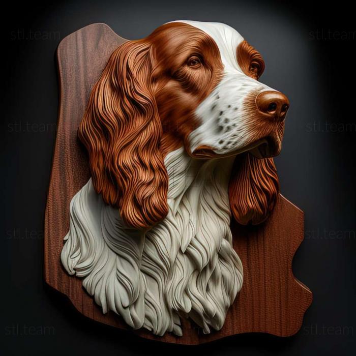 Irish Red and White Setter dog