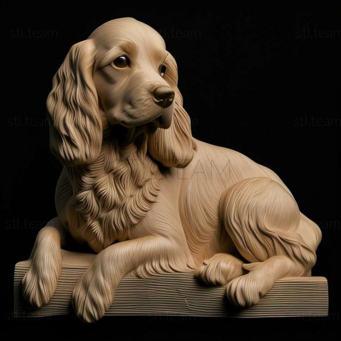 English Cocker Spaniel dog