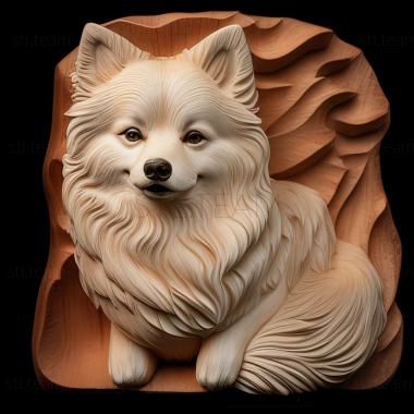 3D model American Eskimo dog (STL)