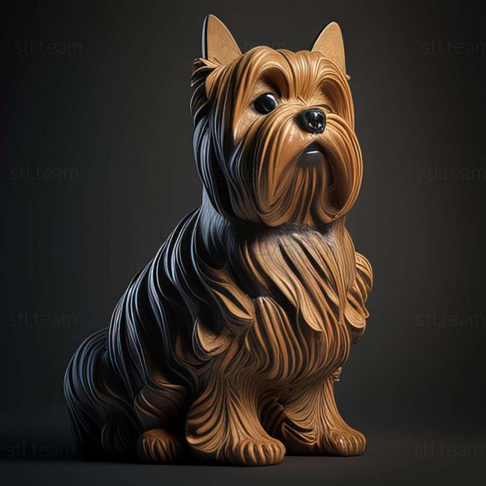 Yorkshire Terrier dog