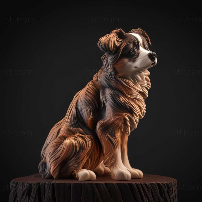 3D model Miniature American Shepherd dog (STL)