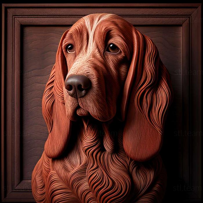 Animals Red Breton Basset dog