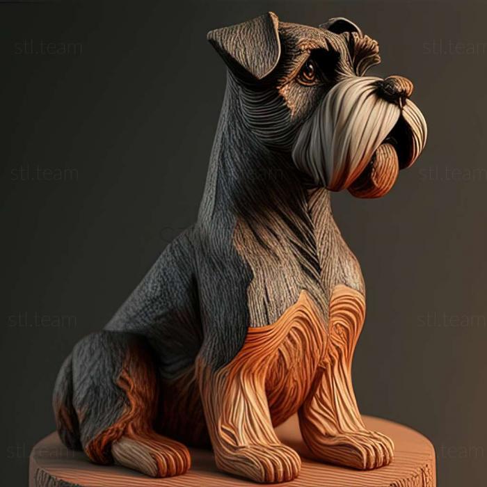 Zwergschnauzer dog