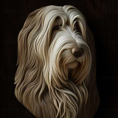 3D model Bearded Collie dog (STL)