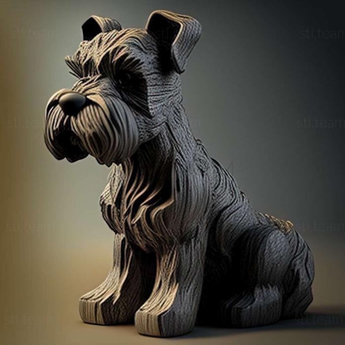 Animals Zwergschnauzer dog