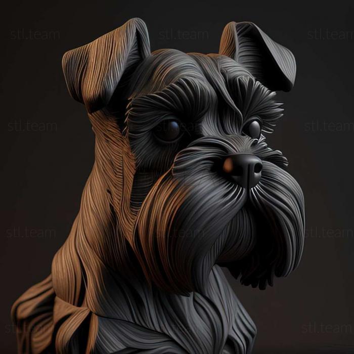 Zwergschnauzer dog