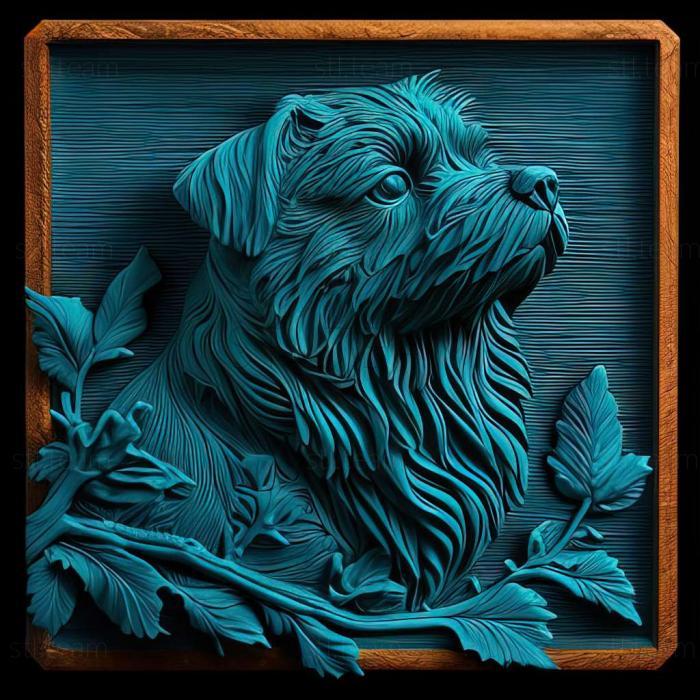 Animals Blue Gascon Griffon dog