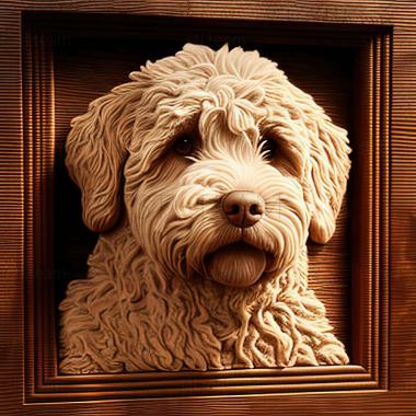 3D model Lagotto romagnolo dog (STL)