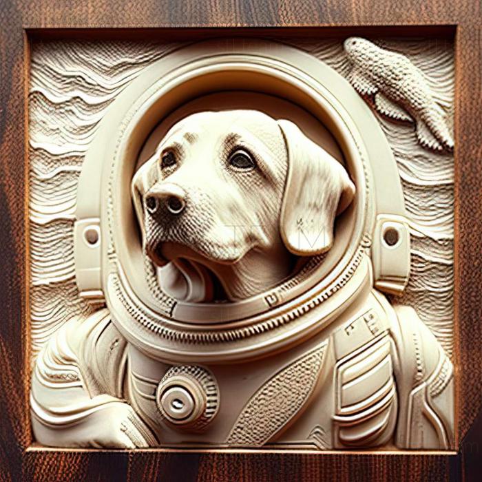 Brave cosmonaut dog famous animal