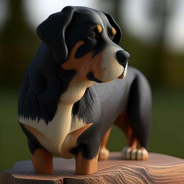 3D модель Ентлебухер зенненхунд собака (STL)