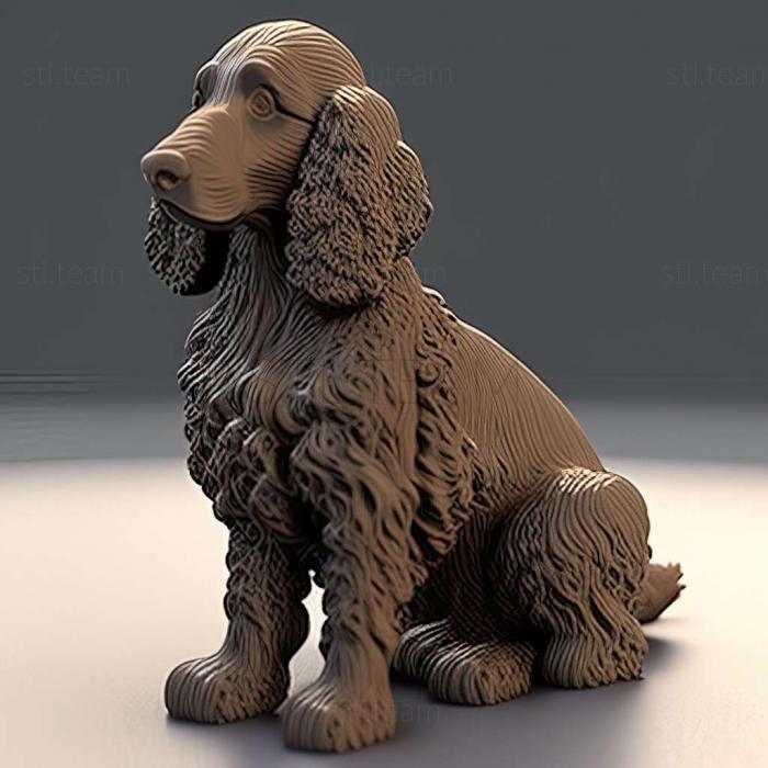 3D model Irish Water Spaniel dog (STL)