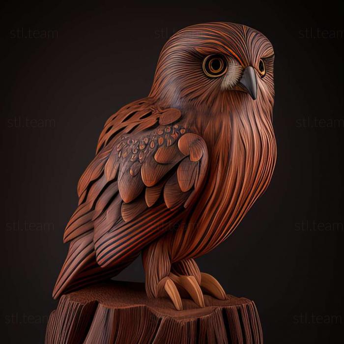 3D модель Glaucidium bolivianum (STL)