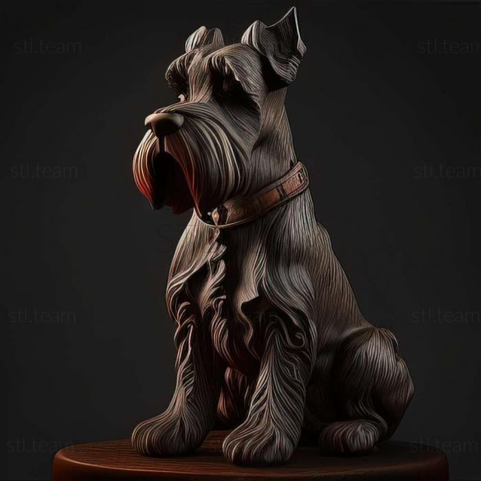 Zwergschnauzer dog