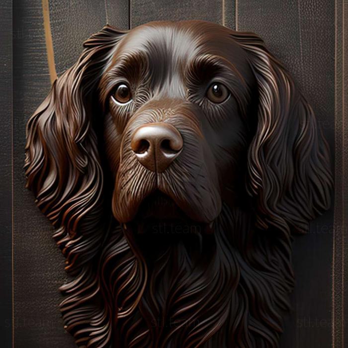 3D model Boykin Spaniel dog (STL)