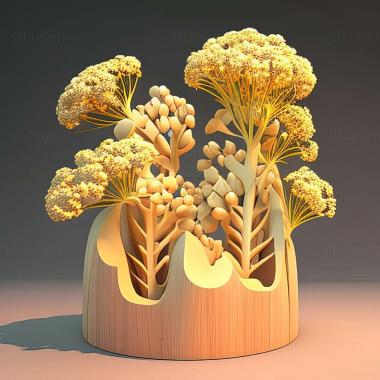 3D model Cylindromyia brassicaria (STL)