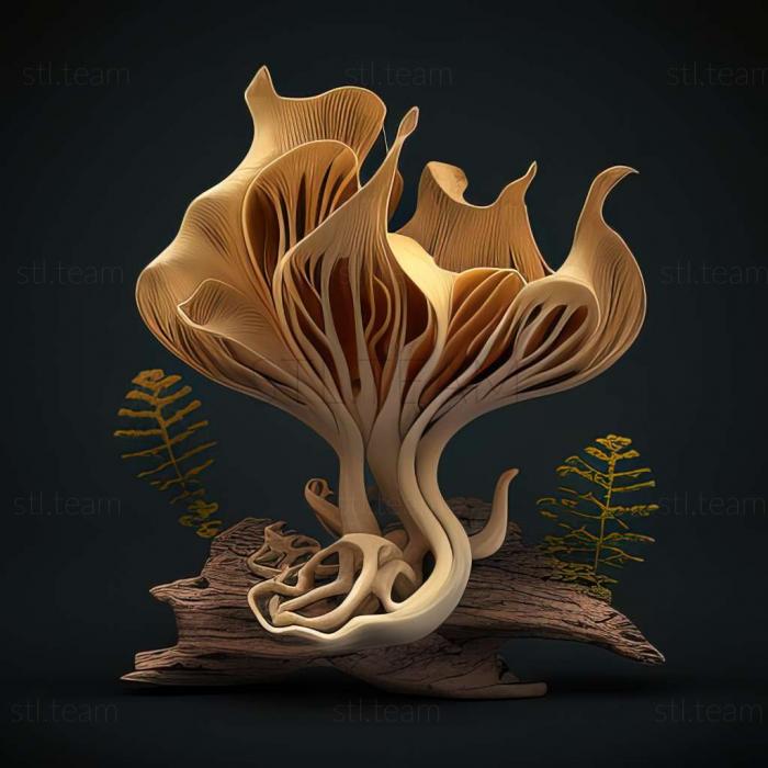 3D модель Leucotrichia hispida (STL)