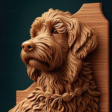 3D model Barbet dog breed dog (STL)