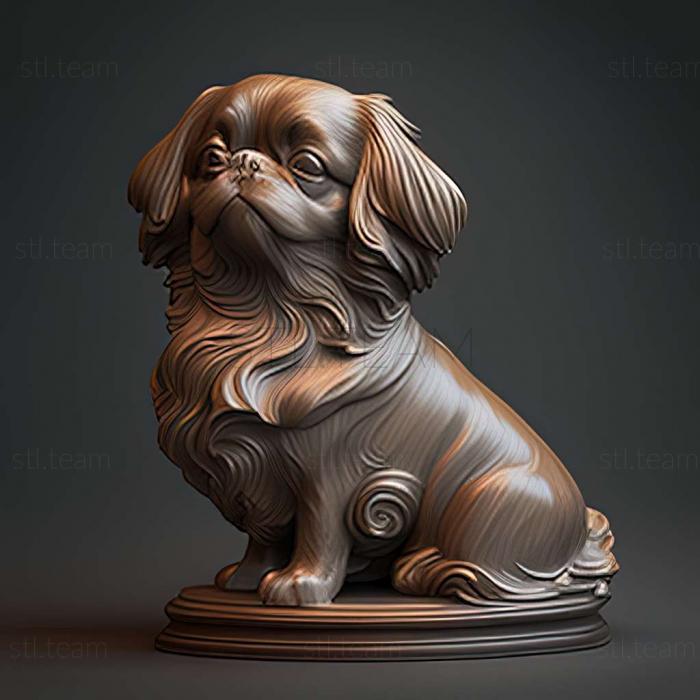 Animals Tibetan Spaniel dog