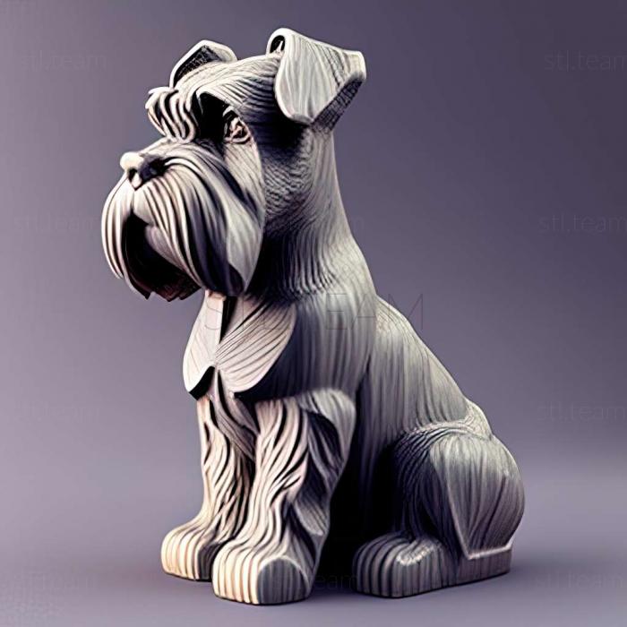 Zwergschnauzer dog