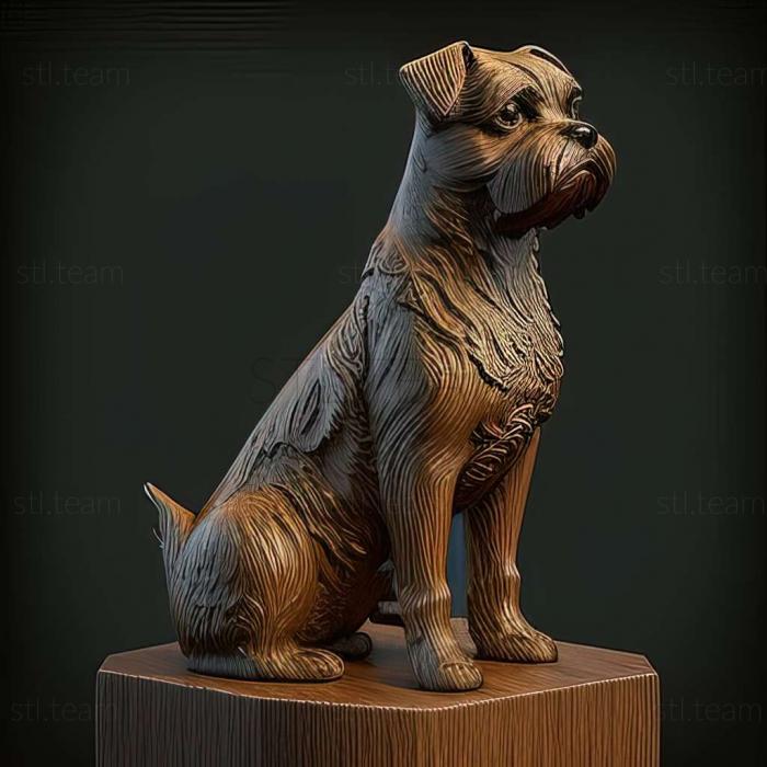 Animals Border Terrier dog