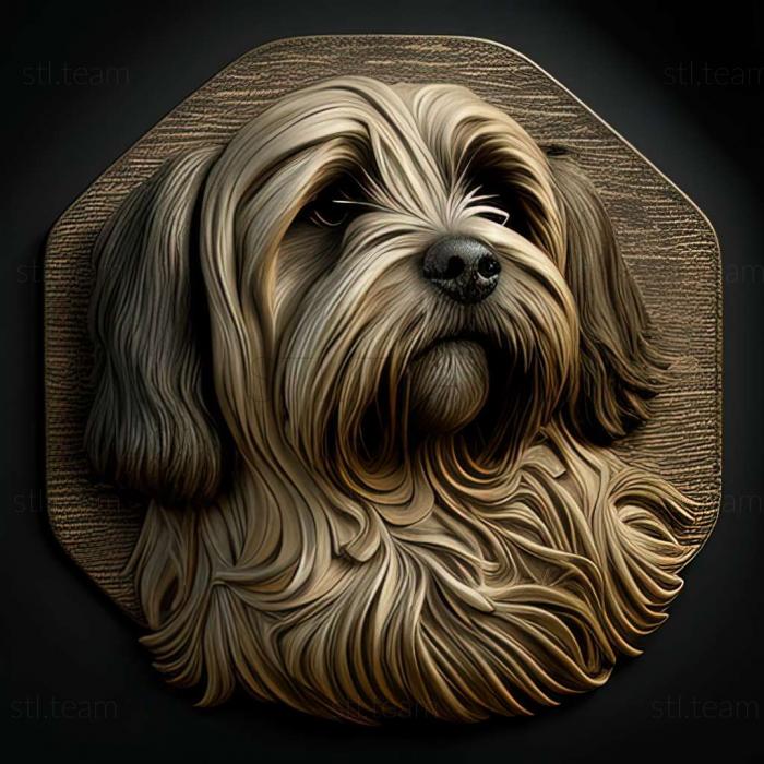 3D model Tibetan Terrier dog (STL)