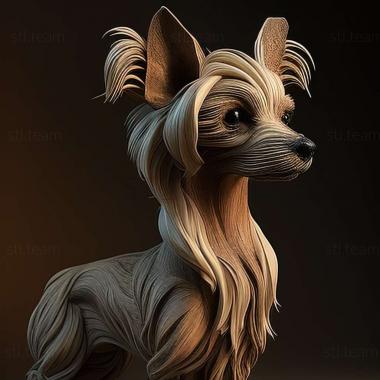 3D model Chinese Crested dog (STL)