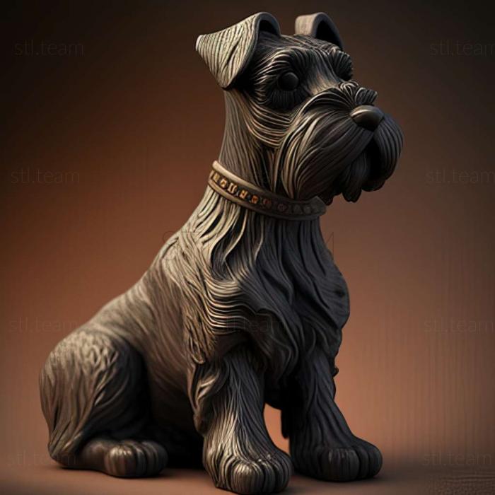 Zwergschnauzer dog