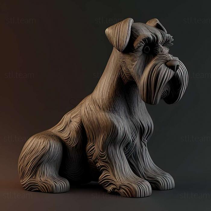 Animals Zwergschnauzer dog