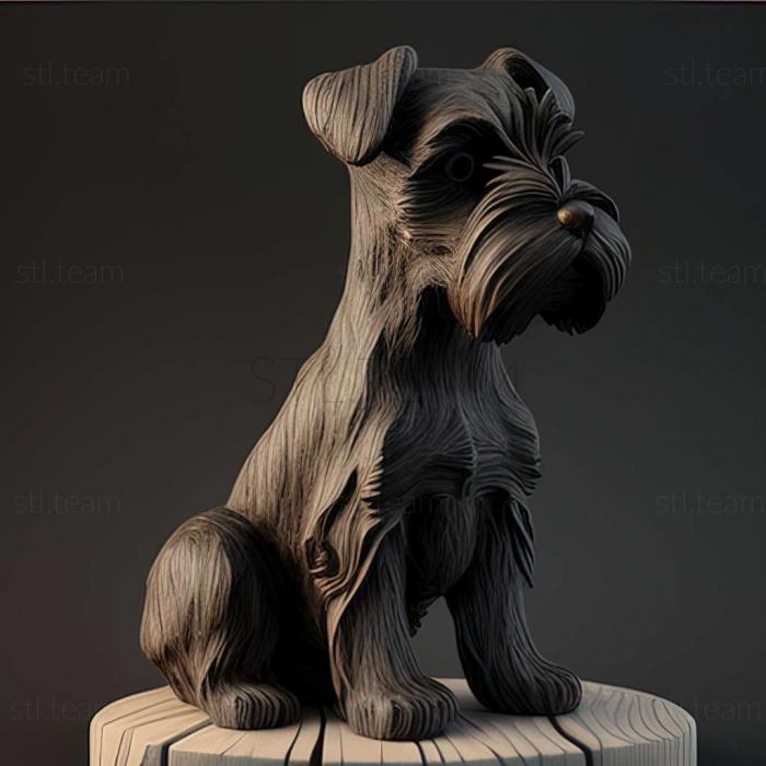 Zwergschnauzer dog