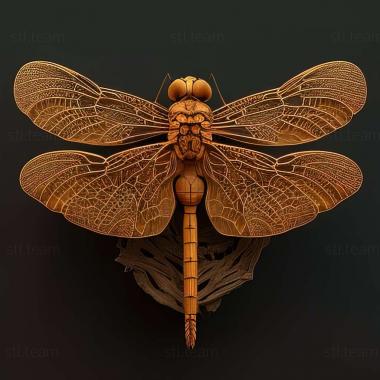 3D модель Rhyothemis fuliginosa (STL)