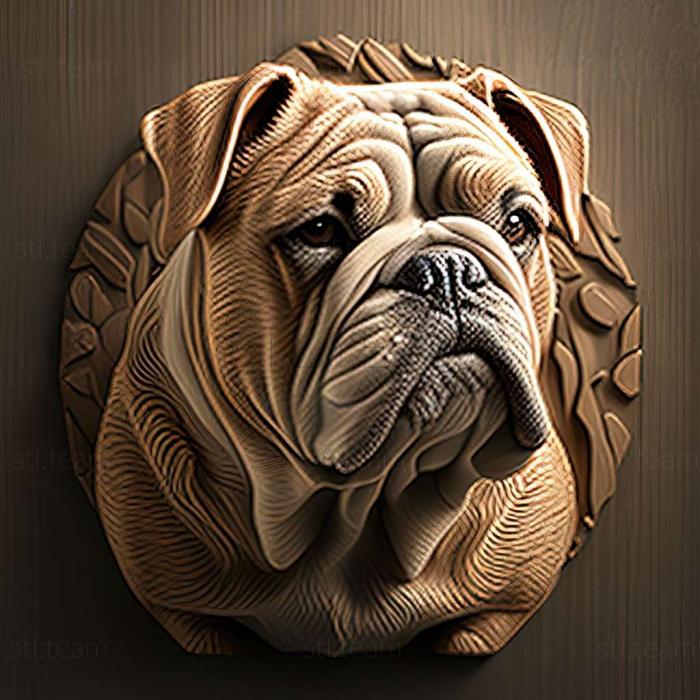 3D модель Бульдог Кампейро собака (STL)