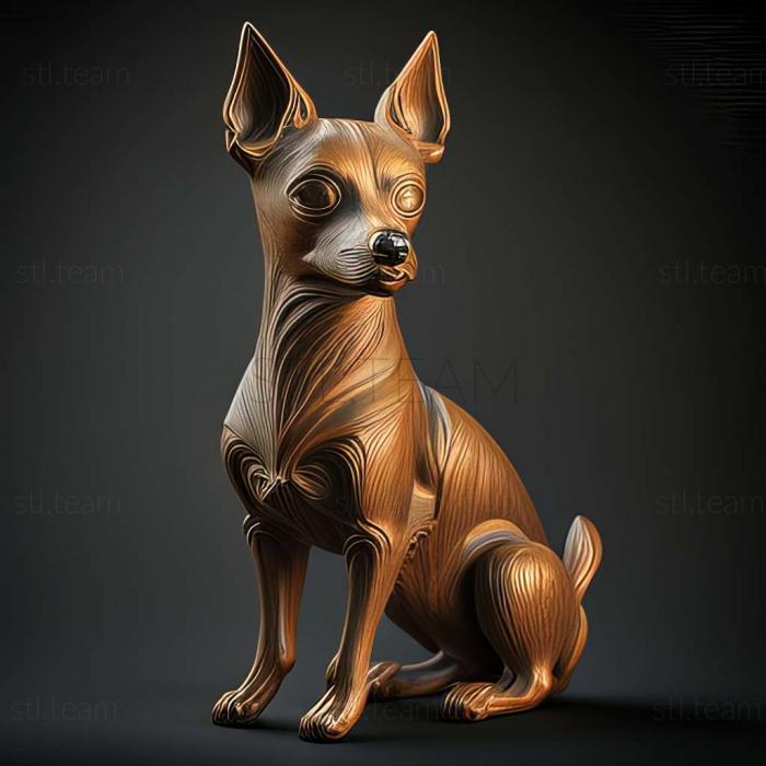 Dwarf Pinscher dog